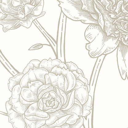 Origin Murals Jacobean Rose Trail Natural Stone 350cm X 280cm