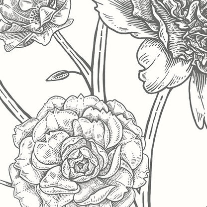 Origin Murals Jacobean Rose Trail Black White 300cm X 240cm