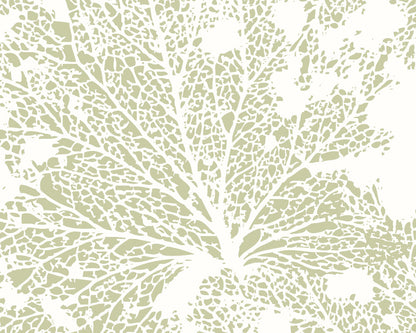 Origin Murals Skeleton Leaf Sage Green 300cm X 240cm