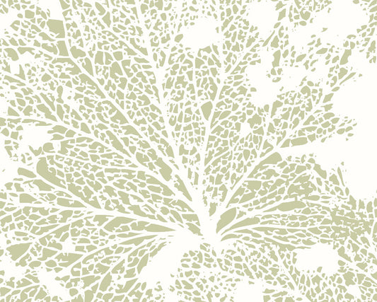 Origin Murals Skeleton Leaf Sage Green 300cm X 240cm
