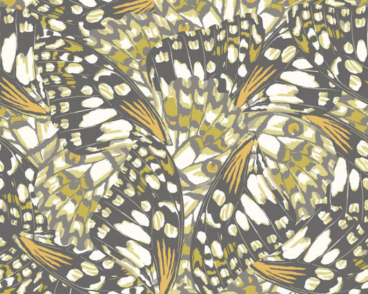 Origin Murals Butterfly Wings Black Olive Green 350cm X 280cm