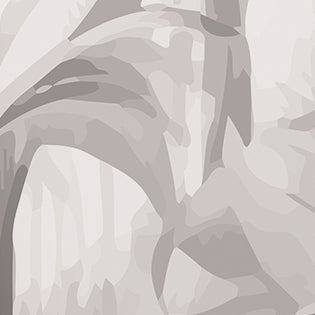 Origin Murals Jungle Trees Black White 350cm X 280cm