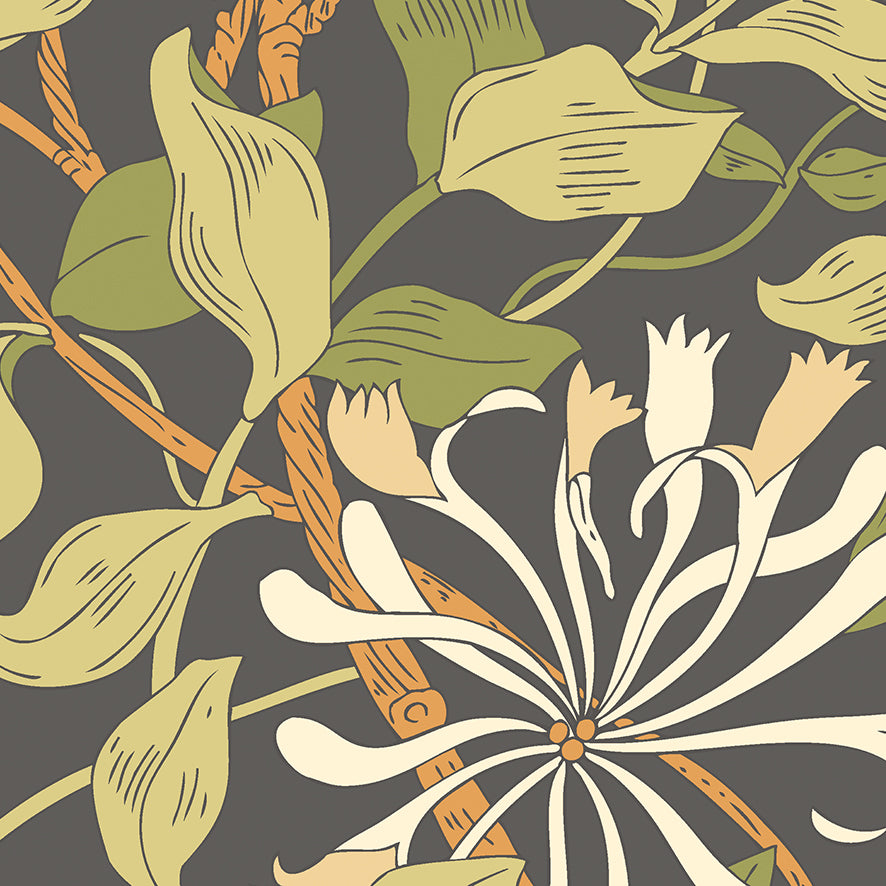 Origin Murals Honeysuckle Black And Olive Green 350cm X 280cm