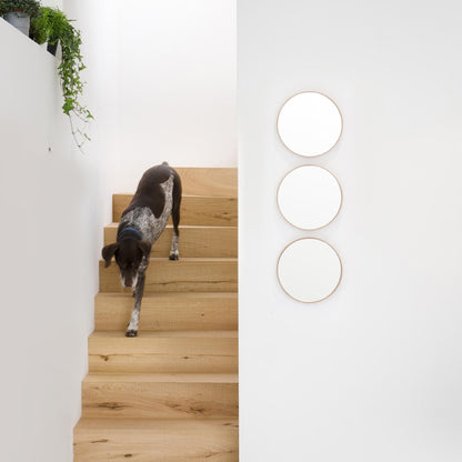 Wireworks Wall Mirror Glance 310 Oak